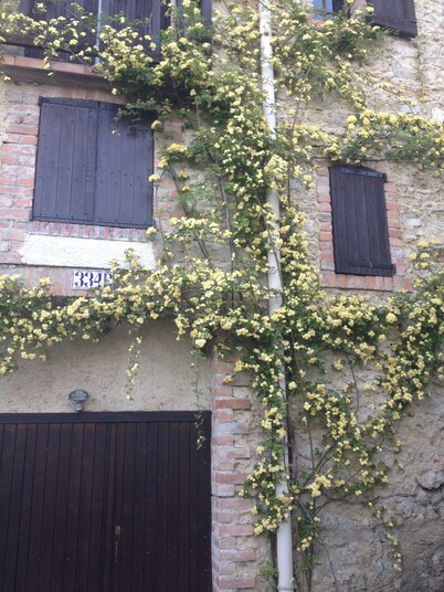 Character House with private pool