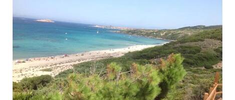 Playa