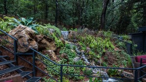 En naturalistisk trädgård med ett vattenfall, stentrappor och ett stort utbud av växter.