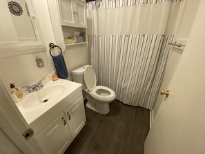 A bathroom with a white sink, a toilet, and a shower curtain. - A New Hope Retreat (Gulf Breeze)
