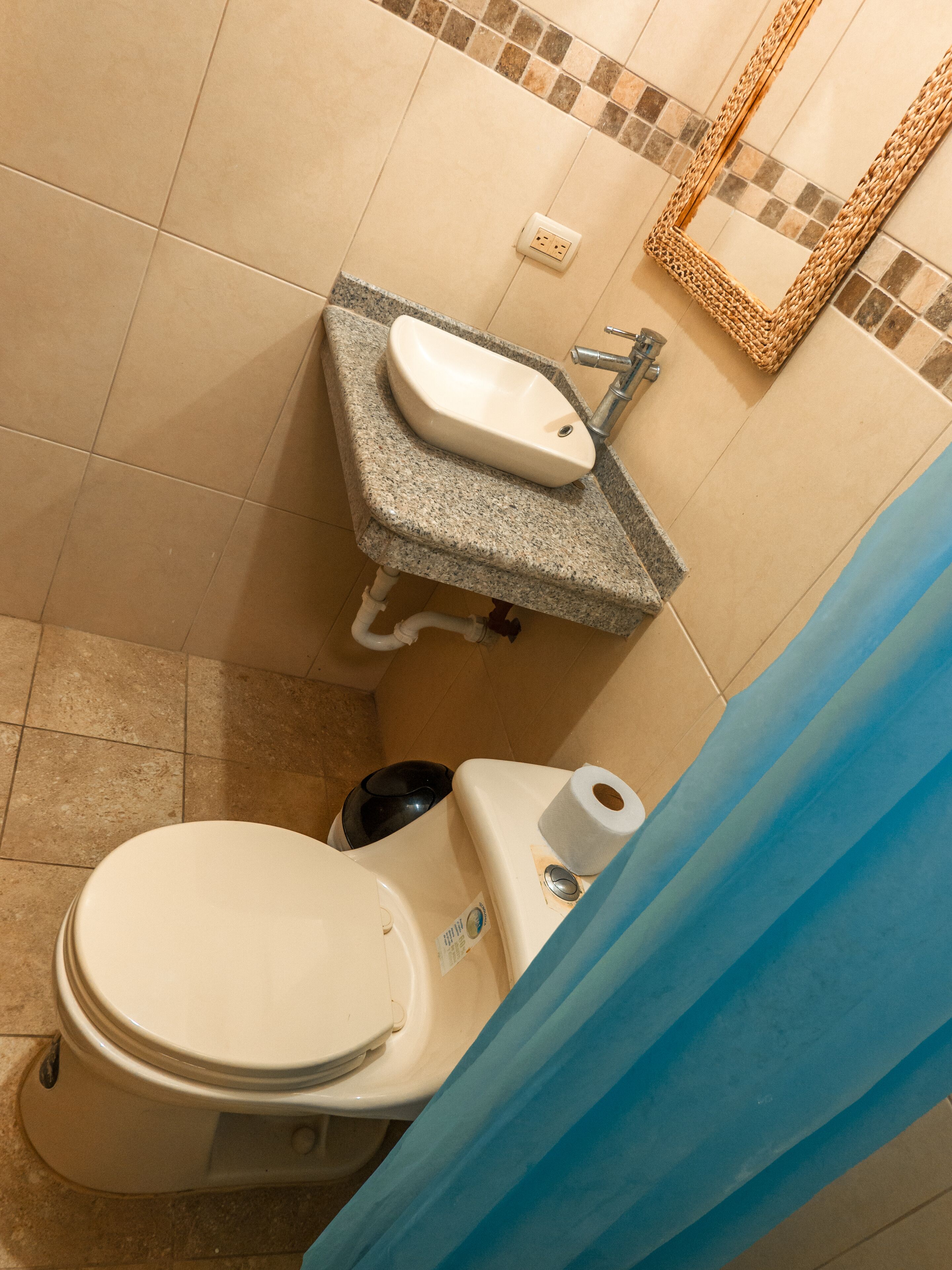 A bathroom with a toilet, sink, and shower curtain.