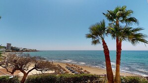 Ein Strand mit Palmen, sandigem Ufer und blauem Himmel.