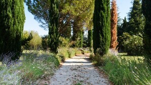 Un chemin de gravier bordé de grands arbres et d’une végétation dense, qui mène à un bâtiment situé au loin.