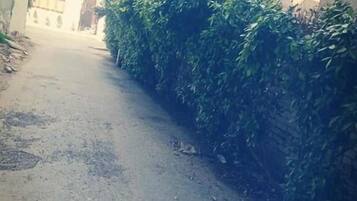 Entrada de la propiedad