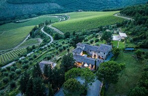 Un'ampia tenuta con diversi edifici, vasti vigneti e un giardino curato.