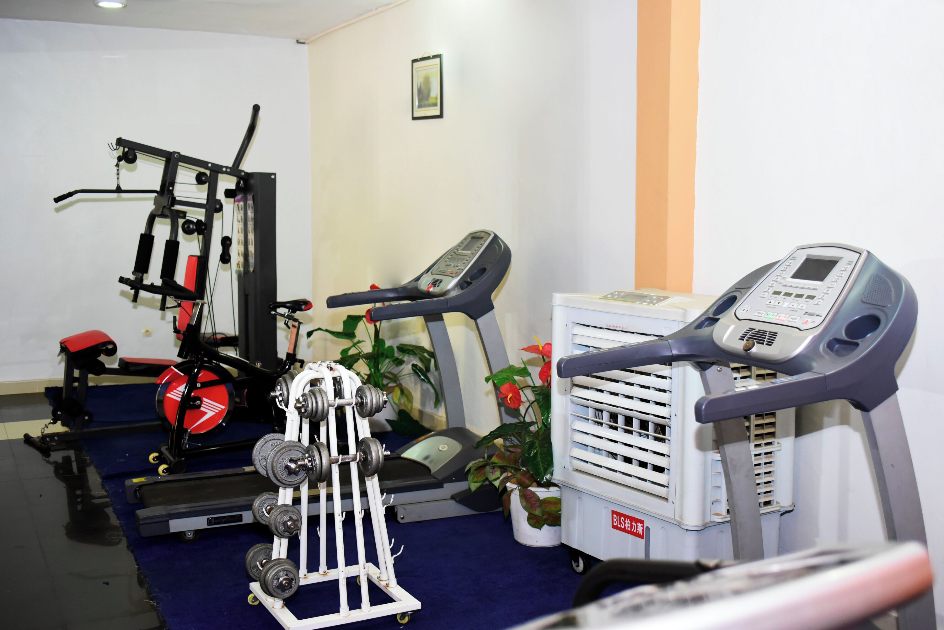 Une salle de sport équipée de matériel d’exercice, d’un tapis de course et d’un vélo d’appartement.