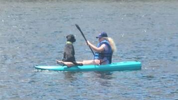 Aurinkotuoleja, rantapyyhkeitä