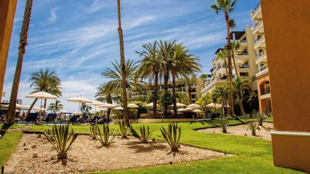 A resort courtyard with palm trees, lounge chairs, and umbrellas. - Casa Dorada Los Cabos Resort and Spa (Cabo San Lucas)