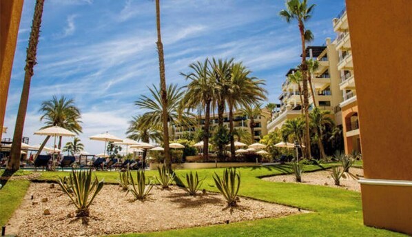Property grounds - Casa Dorada Los Cabos Resort and Spa (Cabo San Lucas)
