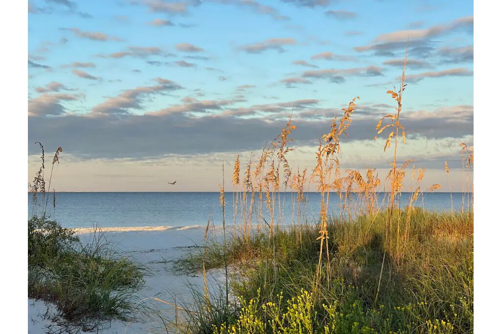 Playa en los alrededores y camastros 