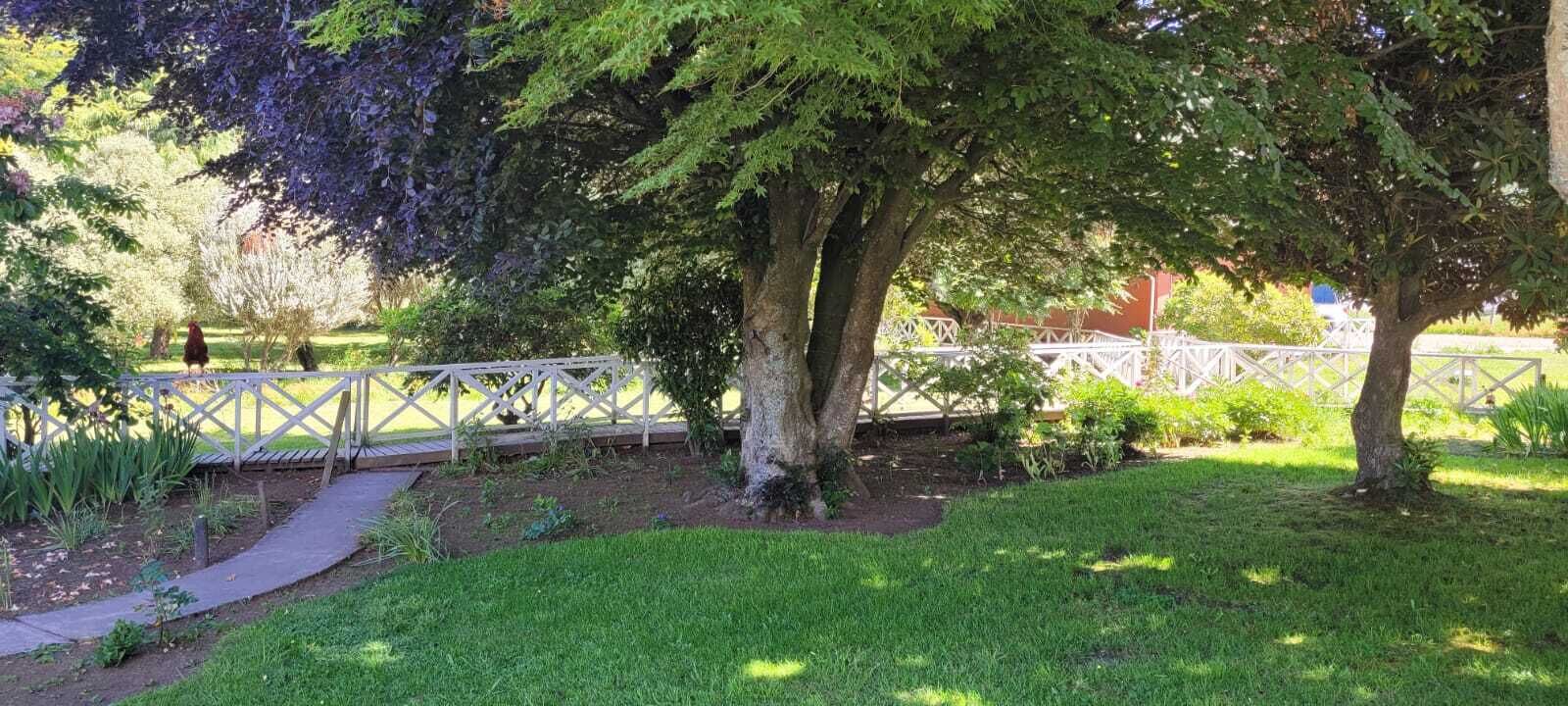 Un jardín con terraza de madera, un camino y una valla blanca.