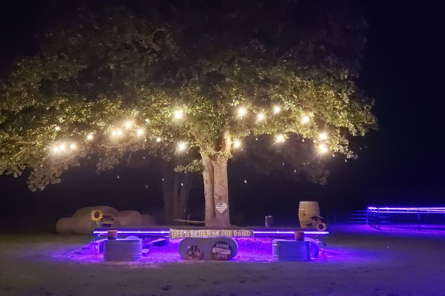 Un arbre décoré de guirlandes lumineuses, un banc et un panneau sur lequel on peut lire : « LA VIE EST PLUS BELLE AU BORD DE NOTRE ÉTANG. »