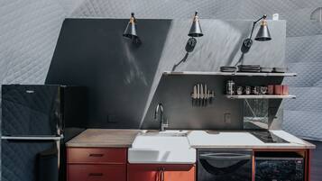 Fridge, microwave, stovetop, dishwasher