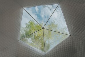 Interior - Dome 2 (Brunson) (Gilmer County)