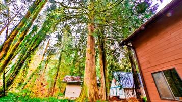 House, 2 Bedrooms | Property grounds