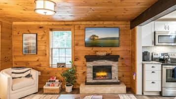 Televisie, een open haard en boeken