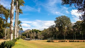 Un campo de golf con césped cuidado, árboles altos y un cielo azul despejado.
