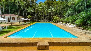 Una piscina rectangular con bordeado de azulejos, rodeada de exuberante vegetación y palmeras.