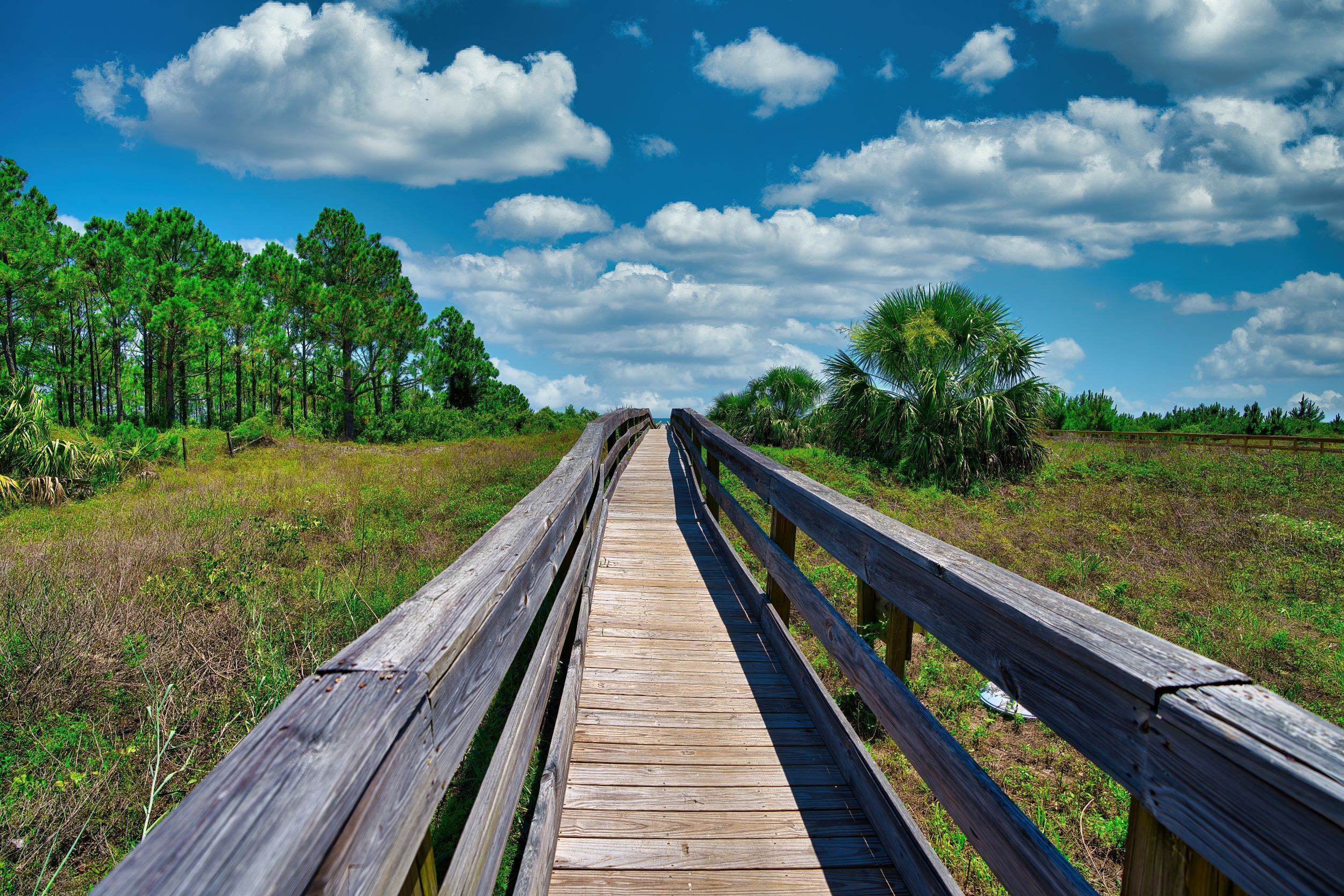 A wooden boardwalk leading through a natural landscape with trees and open grassy areas.