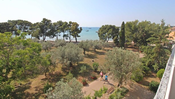 A coastal landscape with trees, a path, and boats on the water.