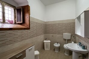 Shower, hair dryer, bidet, towels