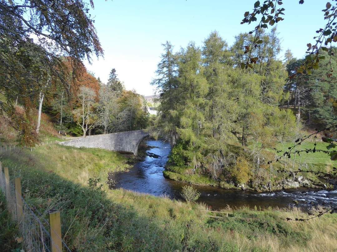 Une rivière qui coule sous un pont de pierre, entourée d’arbres et d’herbe.