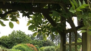 A garden with a wooden pergola, various shrubs, and a blue barrel. - Studio 35m² with large garden, train station 5 min, parking, wifi THD, near beach (Vannes)