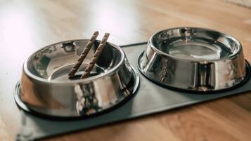 Two stainless steel pet bowls on a black tray.