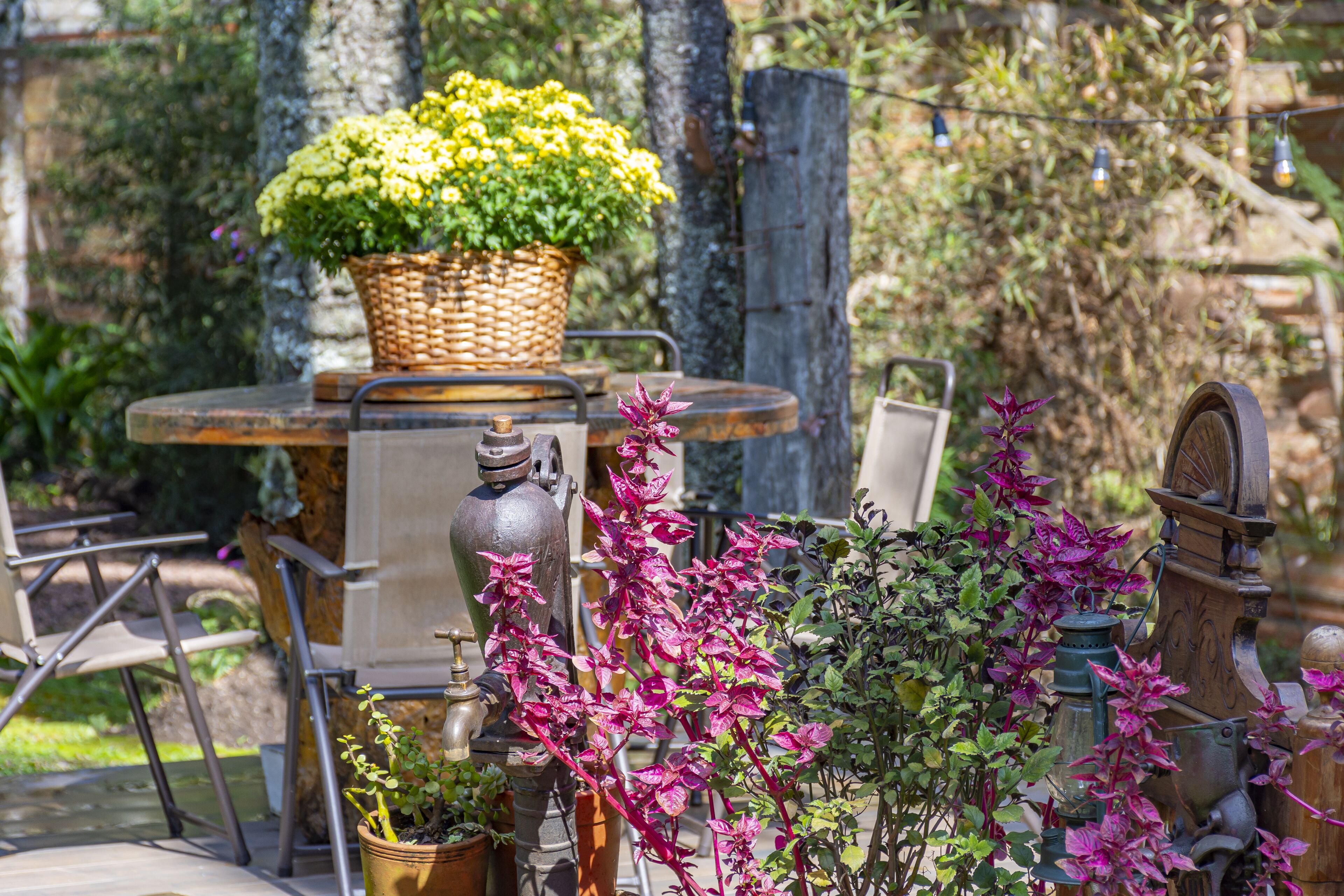 Un comedor al aire libre rústico con una mesa de madera, sillas de metal y una cesta de mimbre con flores amarillas.