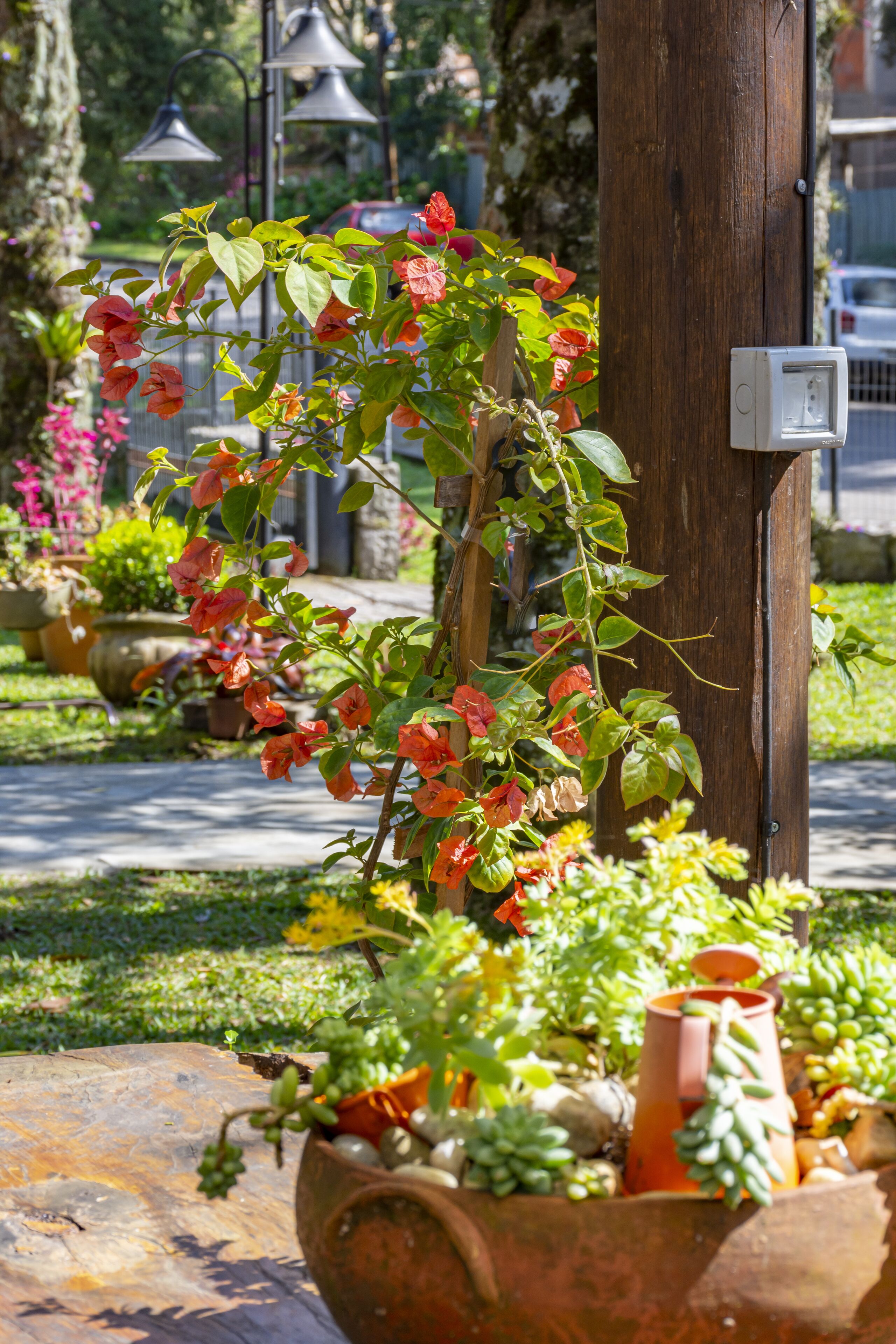 A garden with potted plants and flowers, a wooden post, and a street lamp.