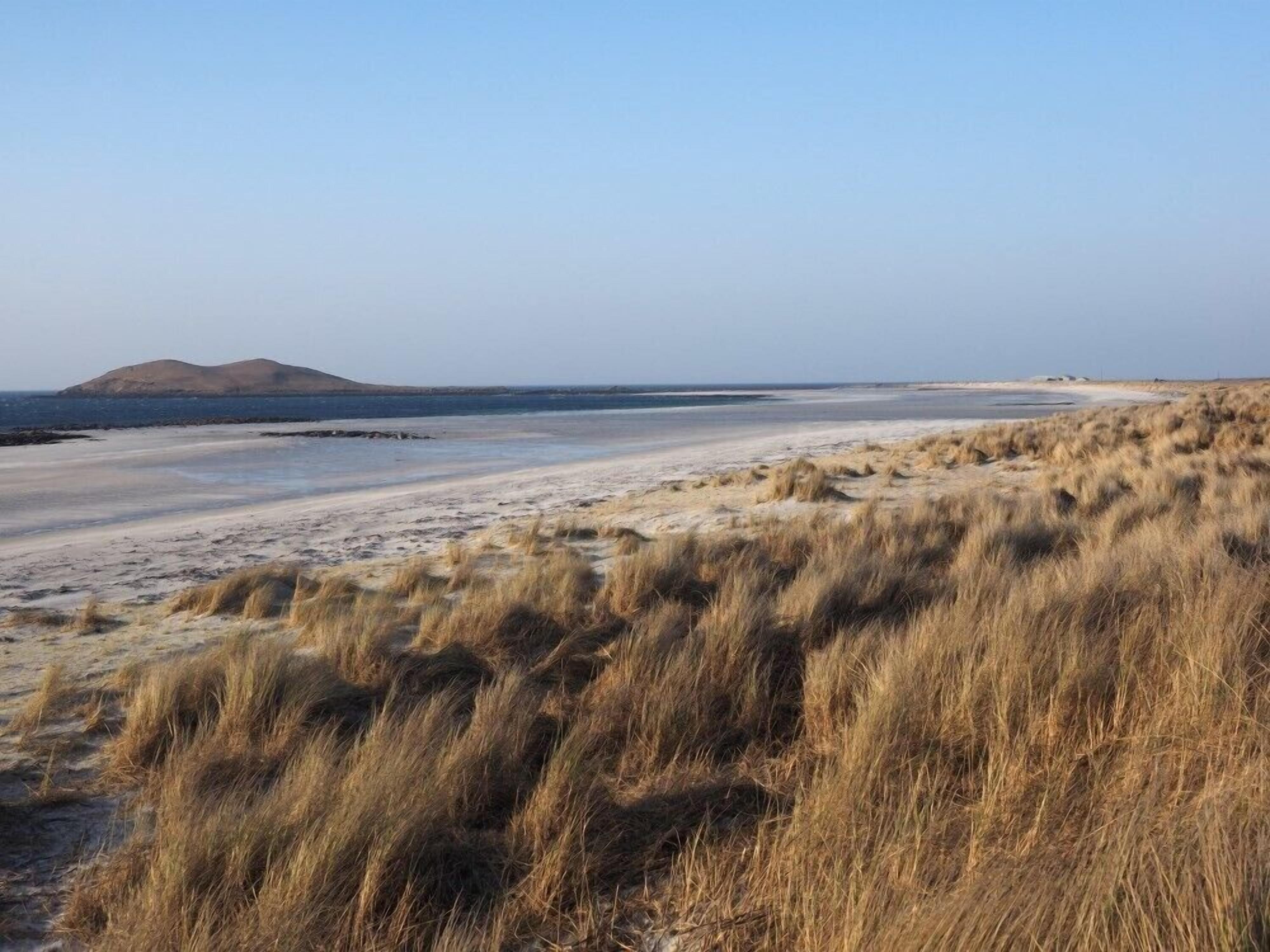 A beach with dry grass and sand, a distant hill, and a clear sky.