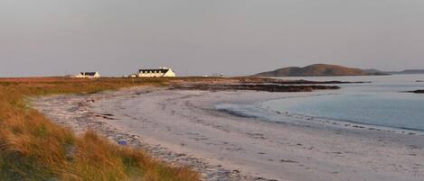 A coastal landscape with a sandy beach, grassy dunes, and a few white buildings in the distance.