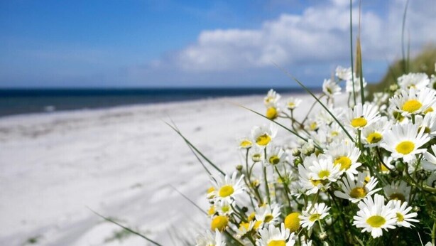 A beach with white sand and a clear blue sky. - Fuidaigh (South Uist)