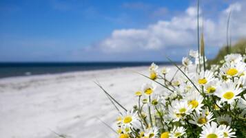 Ferienhaus | Innenbereich