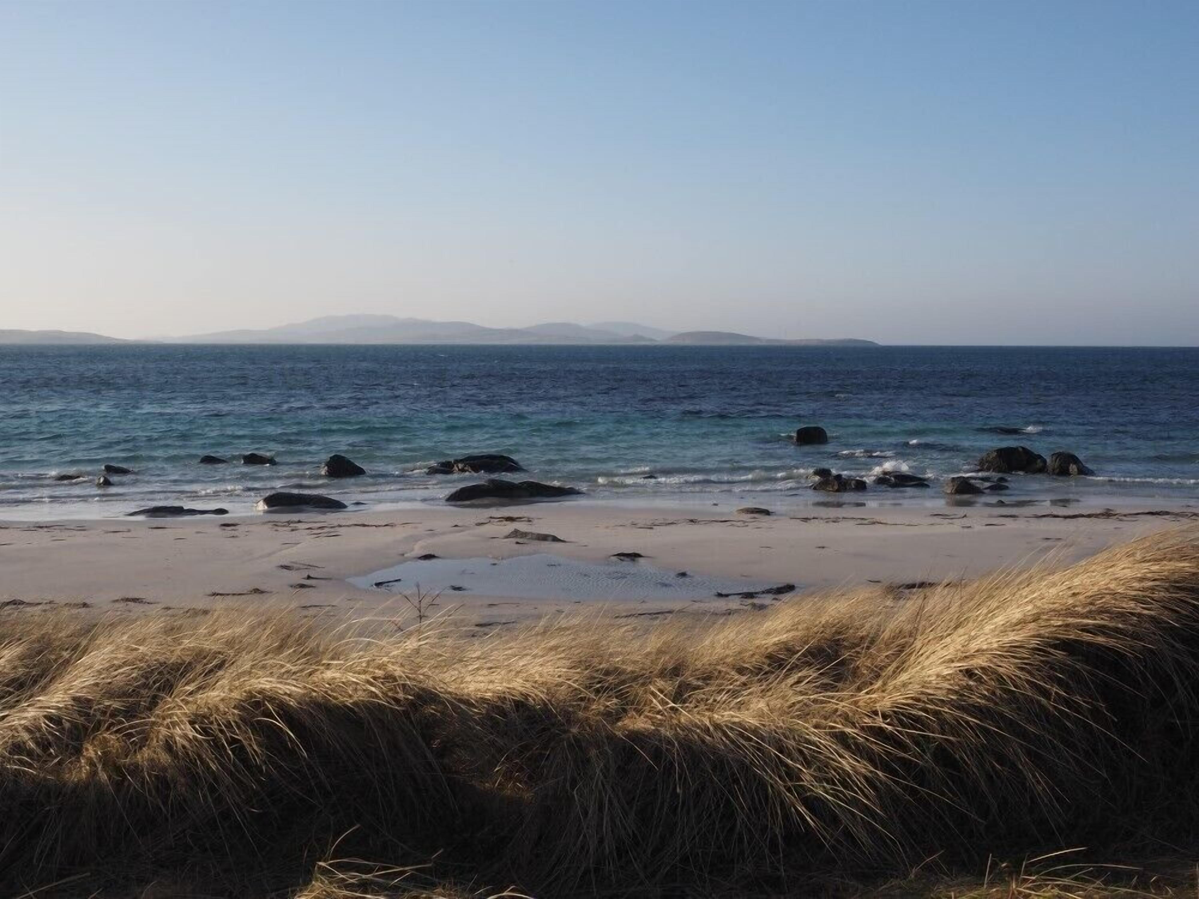 Une plage avec du sable, des rochers et de l’herbe.