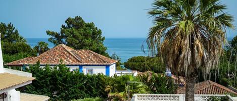 Vista desde la propiedad