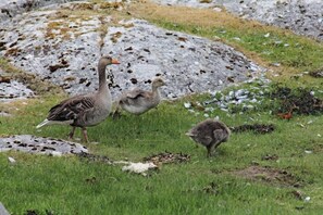 平房 | 住宿地面