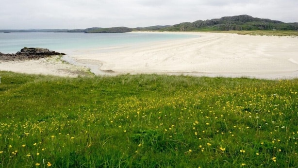 Un paisaje costero con una playa arenosa, un primer plano con hierba y flores amarillas, y colinas lejanas.