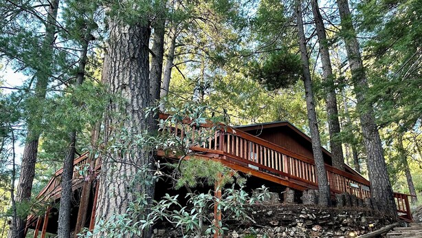 Eine Holzhütte mit einer Holzterrasse und einer Treppe, umgeben von hohen Bäumen.