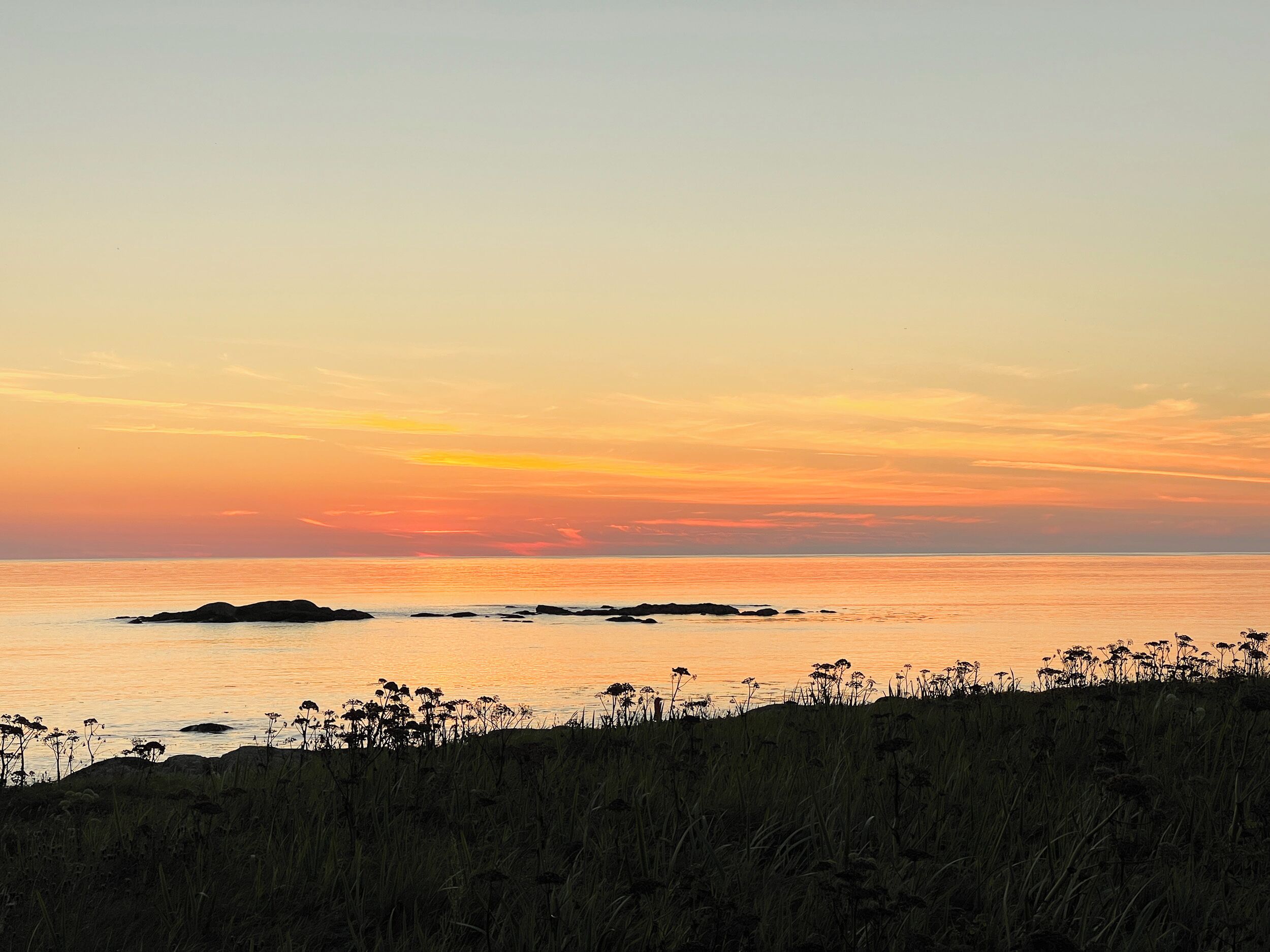 Un paisaje costero al atardecer con cielo despejado, mar tranquilo y primer plano con hierba.