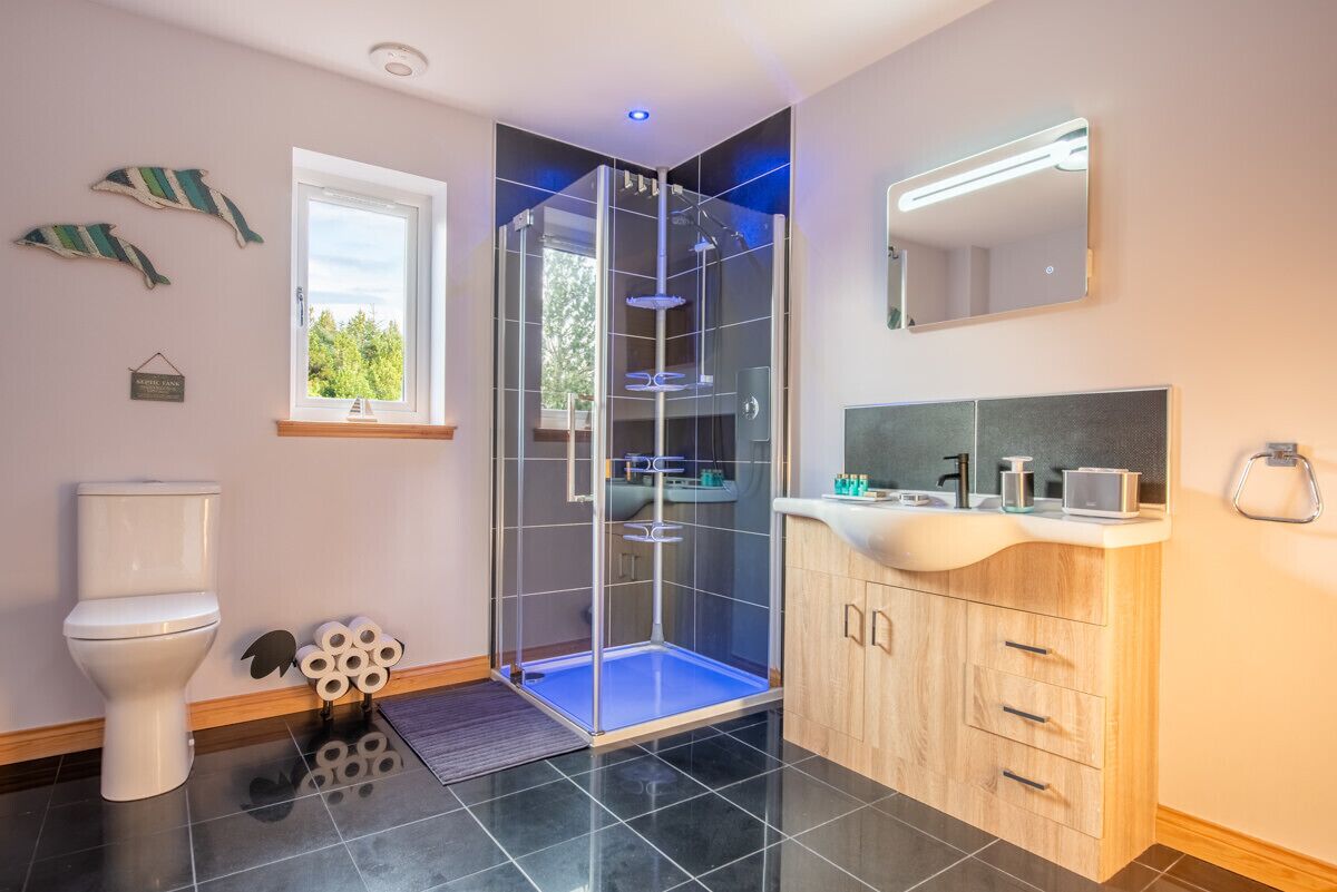 A modern bathroom with a glass-enclosed shower, a white toilet, and a wooden vanity with a mirror.