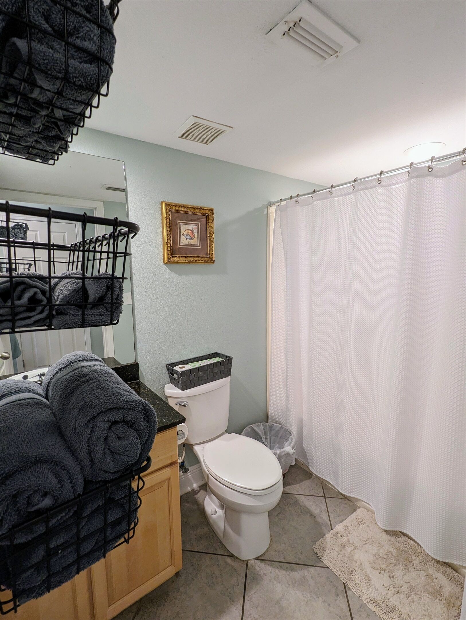 Ein Badezimmer mit Toilette, Duschvorhang, Waschbecken und Handtuchhalter sowie einem gerahmten Bild an der Wand.
