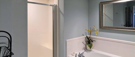 Un baño con ducha a nivel, una bañera blanca, un lavabo con espejo y una planta en maceta.
