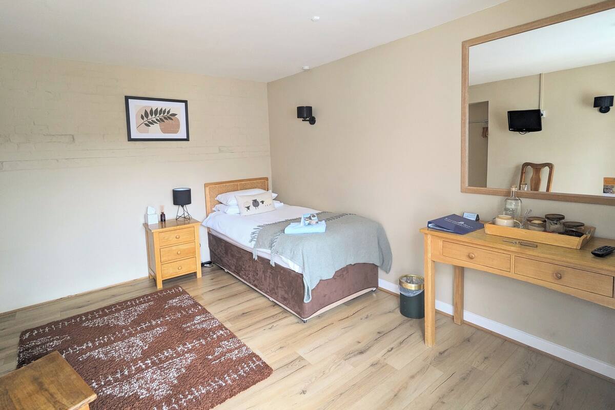 A bedroom with a bed, bedside tables, a dresser, a mirror, a rug, and a wall-mounted picture.