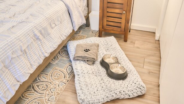 Ein ordentlich bezogenes Bett mit einem gemusterten Überwurf, ein kleiner Nachttisch mit Lampe sowie ein Tierbett mit Näpfen auf einem Teppich.