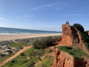 Camastros y toallas de playa 