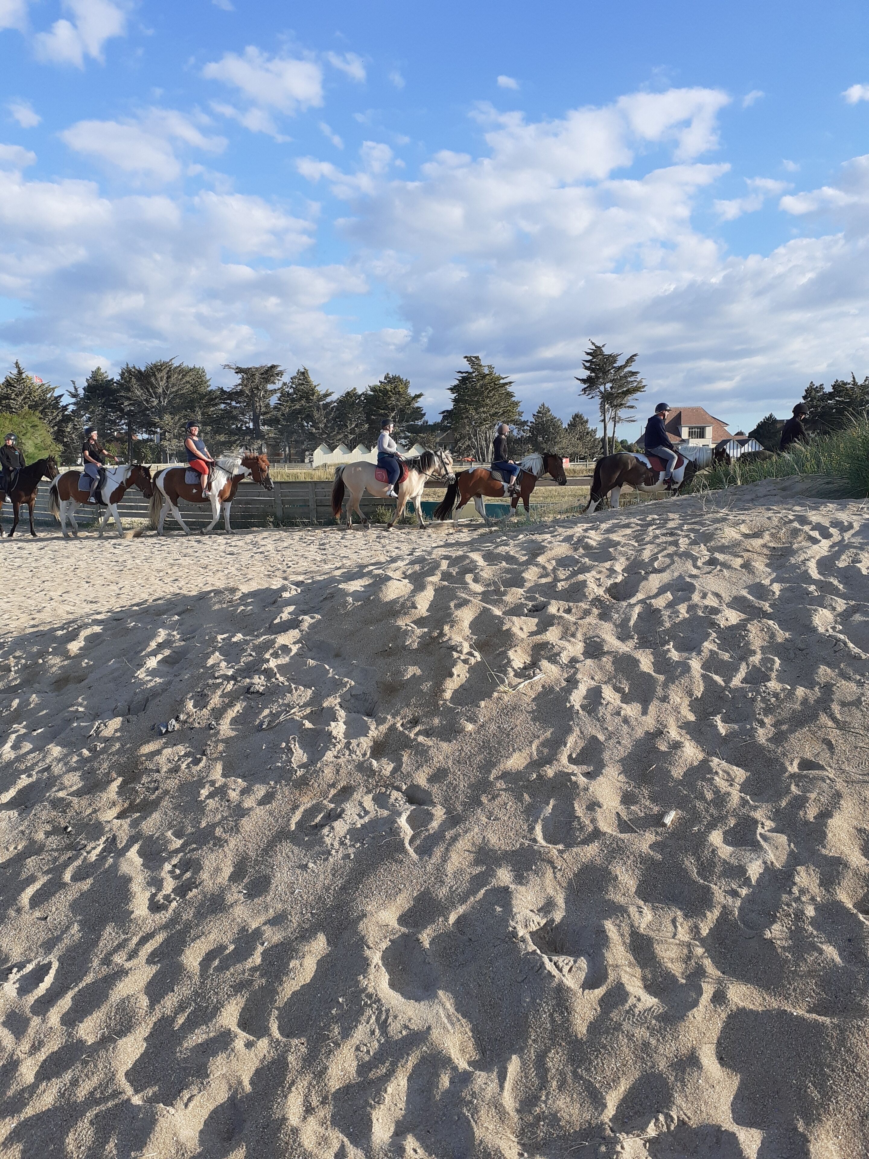 A sandy beach with several horses and riders.