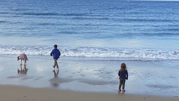 Una playa con huellas en la arena, un caballo y dos niños jugando cerca del agua.