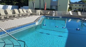 Pool - Siesta Key - Prime location, patio/backyard/garden/pool/quick walk to the beach! (Sarasota)