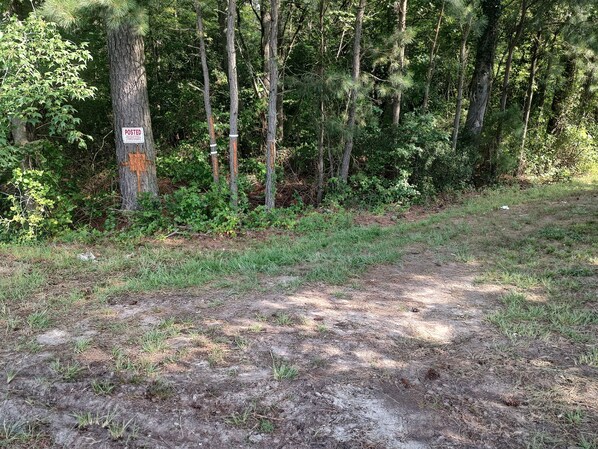 Ein bewaldetes Gebiet mit einem Feldweg, Bäumen und einem Schild mit der Aufschrift 'POSTED' an einem Baum.